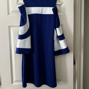 Blue and White Dress